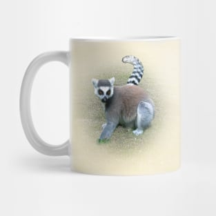 Ring-tailed lemur Mug